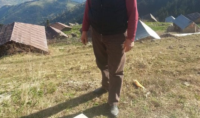 Odun yaparken hayatını kaybetti