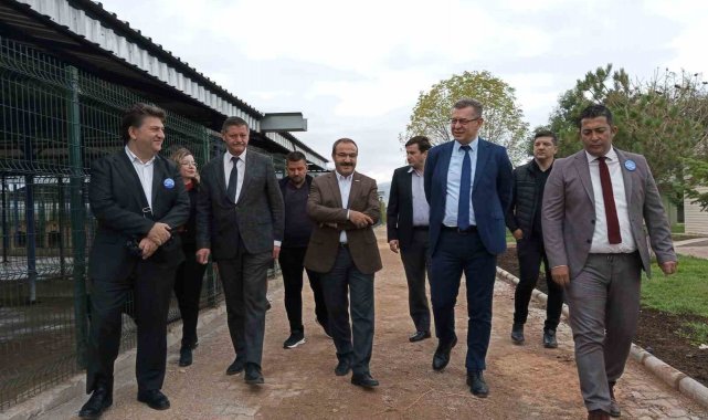 OEDAŞ, Can Dostlar için Afyonkarahisar'da tedavi odası açtı
