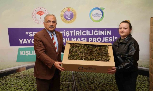 Ordu'da 4,5 yılda 3 milyon sebze fidesi vatandaşlara dağıtıldı