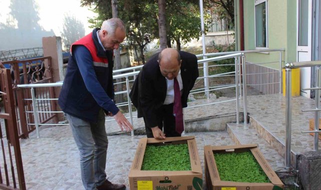 Osmaneli'nde 4 çiftçiye 10 bin 500 adet marul fidesi dağıtıldı