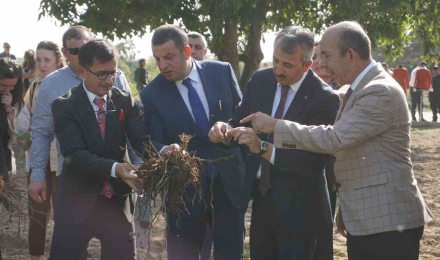 Osmanlı İmparatorluğu'nun "Edirne Kırmızısı" hasat edildi