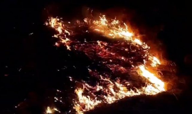 Otluk yangınında alevler demiryoluna sıçradı, yük treni 2 saat raylarda bekledi