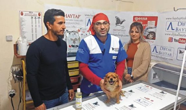 Otomobilin çarptığı Şila'nın kalçası kırıldı