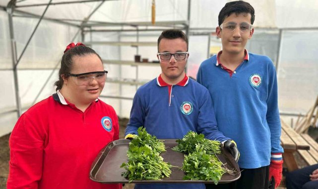 Özel öğrenciler okuldaki serada sebze yetiştiriyor