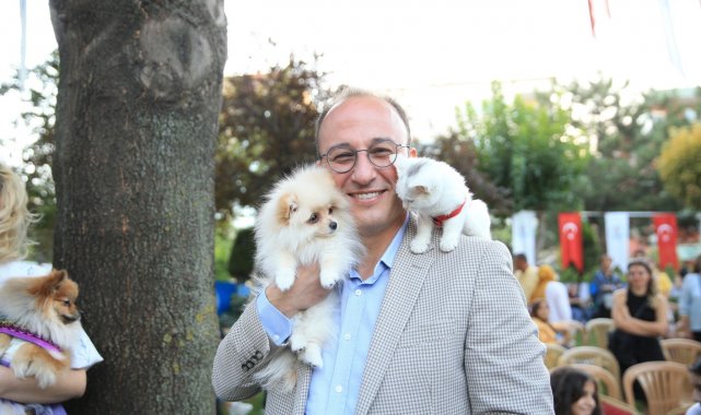 Pati Parkta sona yaklaşıldı