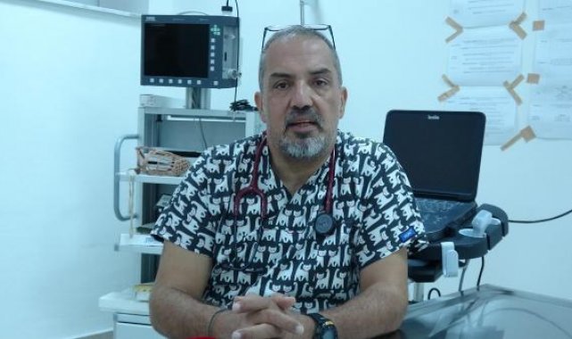 Prof. Dr. Uzlu: Koronavirüsün kedilerde görülme oranı yüzde 90'a yükseldi