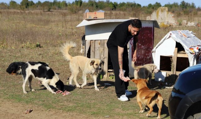 "Daha sonra alacağız" diyerek 80 köpeği boş araziye bıraktılar