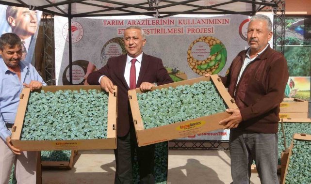 Samsun'da 34 üreticiye 650 bin brokoli fidesi dağıtıldı