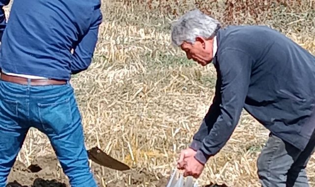 Şaphane'ye yaban mersini bahçesi tesis edilecek