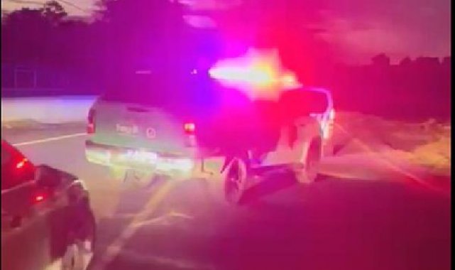 Sarıyer'de bahisle köpek dövüştürenlere baskın: 25 gözaltı