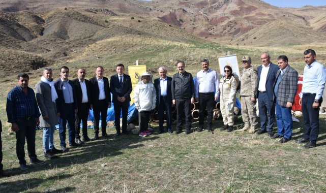 Siirt'te 2 bin 47 rakımlı Çemikare Yaylası'nda bal hasadı yapıldı