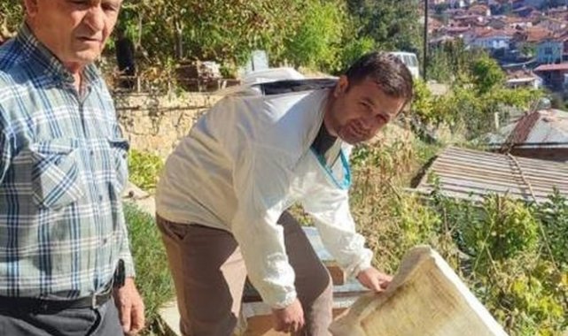 Simav'da arı kovanı sayımı ve destekleme işlemleri