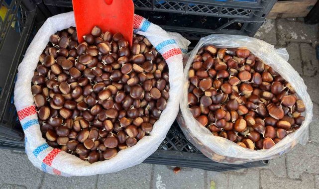 Sinop kestanesi tezgahlarda: Kilosu 250 lira