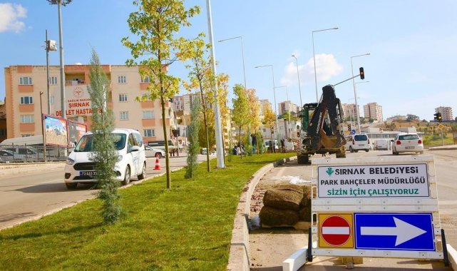 Şırnak belediyesi yeşillendirme çalışmaları başlattı