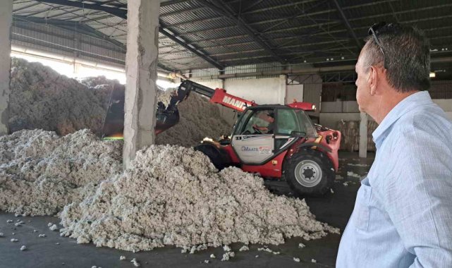 Söke TARİŞ'in iki deposuna 3 milyon kilogram pamuk girişi oldu