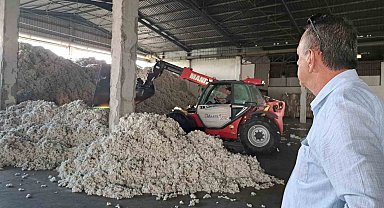 Söke TARİŞ'in iki deposuna 3 milyon kilogram pamuk girişi oldu