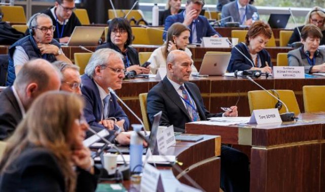 Soyer, Avrupa Konseyine bağlı Bölgeler Meclisi Başkanlığı'na aday