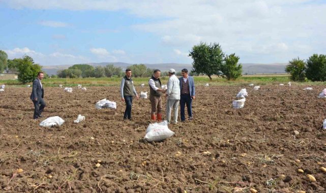 Şuhut'ta patates hasadı başladı