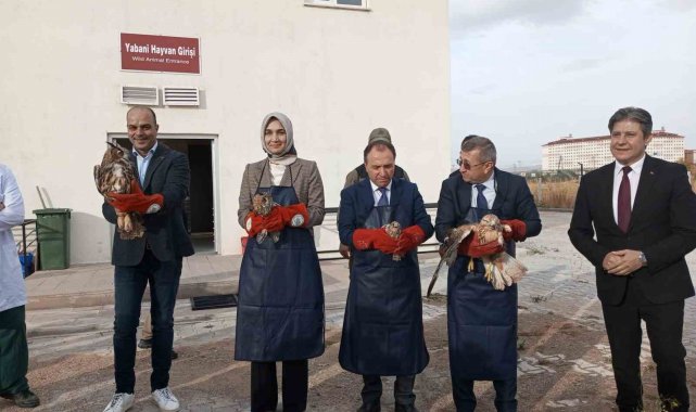 Tedavilere tamamlanan yırtıcı kuşları doğaya protokol üyeleri saldı