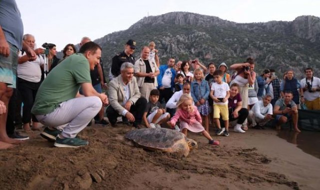 Tedavisi tamamlanan 10 deniz kaplumbağası denizle buluşturuldu