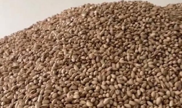 Tepki çeken görüntüler sonrası 2 ton fıstığa el konuldu