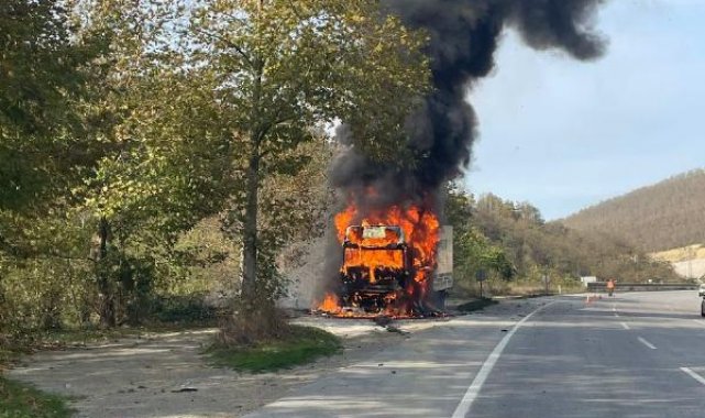 TIR, alev alev yandı
