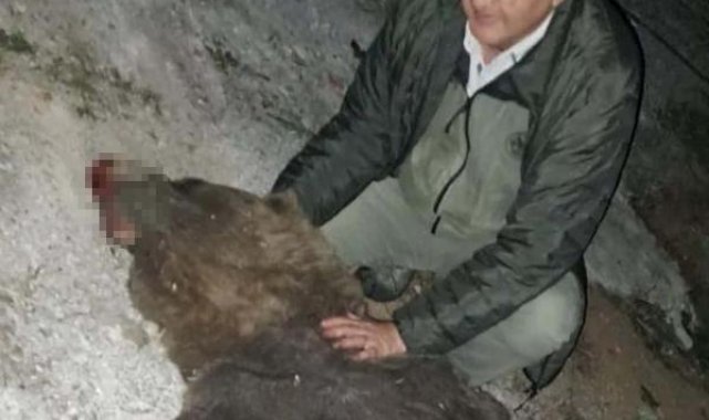 TIR'ın çarptığı ayının ölümüne üzülen ormancı o anları sosyal medyadan paylaştı