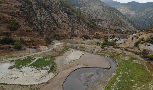 Torul Barajı'nda sular çekildi, tarihi Torul Köprüsü gün yüzüne çıktı
