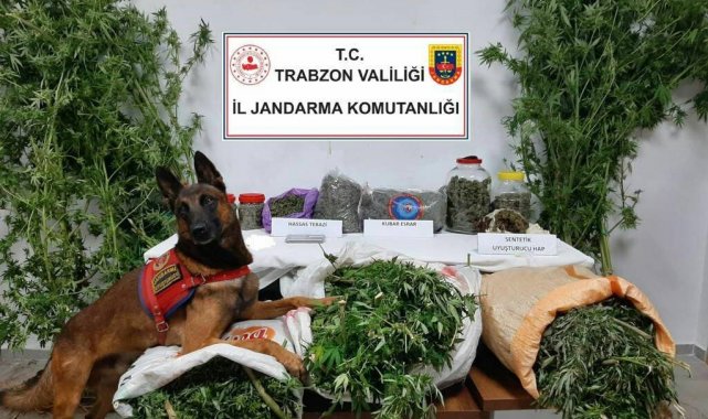 Trabzon'da 41 kilogram uyuşturucu madde ele geçirildi, 5 şüpheli gözaltına alındı