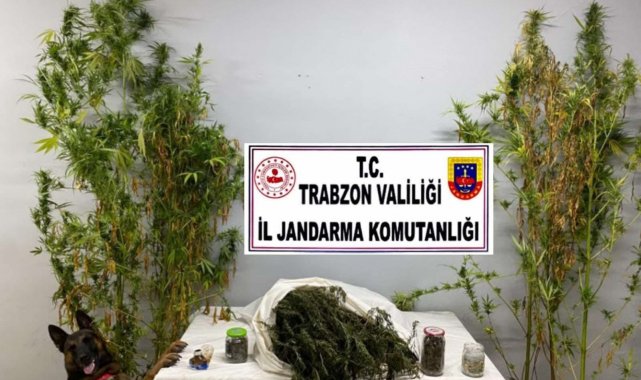 Trabzon'da uyuşturucu operasyon: 3 gözaltı