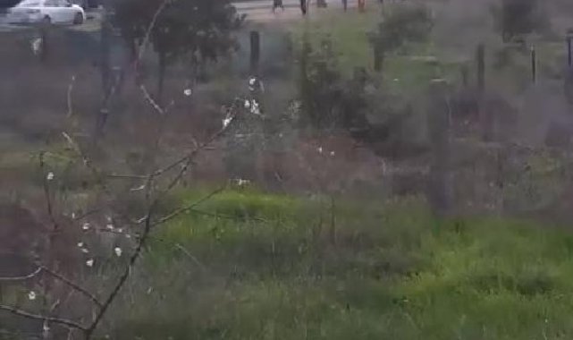 Tuzla'da 2 gecekondu alev alev yandı