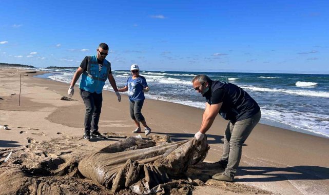 Uzunkum'da kilolarca atık toplandı