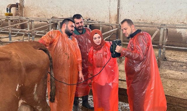 Van Büyükşehir Belediyesi veteriner hekimleri mezbahanelerde ultrasonla kontrol yapacak