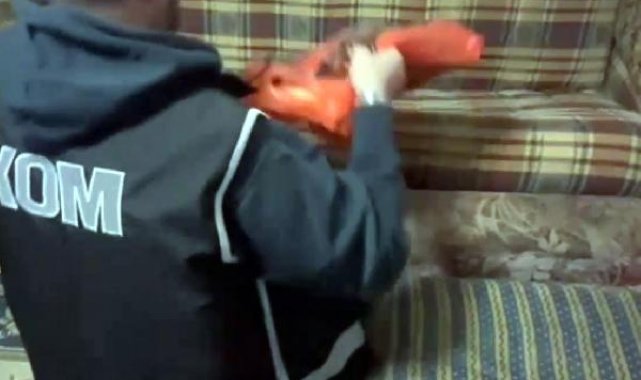 Yabancılara sahte belgelerle ikamet çıkaran şüphelilere operasyon: 13 gözaltı