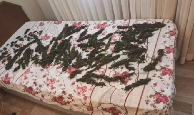 Yalova'da suç örgütüne operasyon; 1'i polis 3 tutuklama