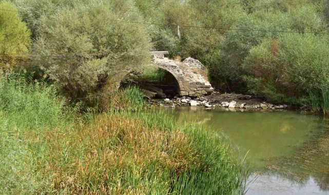 Yok olmak üzere olan tarihi Çıtak Köprüsü, Meclis gündeminde