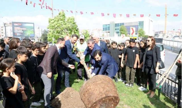 Zeytinburnu'nda Cumhuriyetin 100'üncü yılına özel 100 çınar dikilecek
