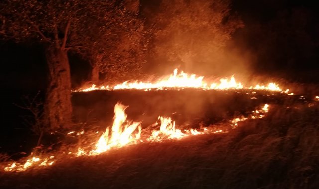 Zeytinlik alandaki örtü yangını söndürüldü