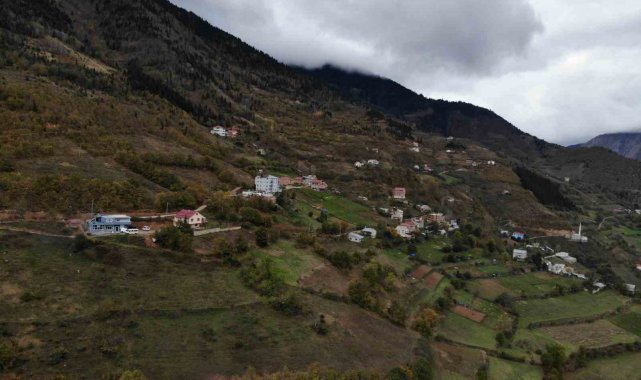 100 yıllık ekşi maya ile üretilen Araköy Ekmeği sofraları süslüyor
