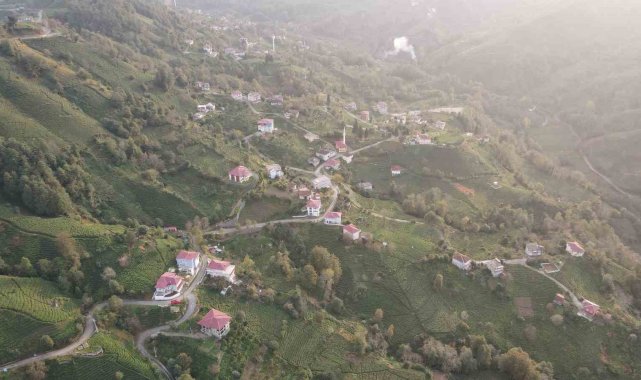 3 mahalle arasında kalan köy 'doğalgaz' umuduyla mahalle olabilmek için referanduma gidiyor