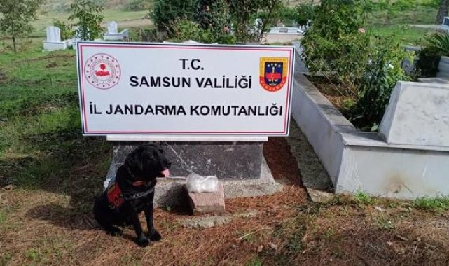 'Etkin pişmanlık' için dedesinin kabrine uyuşturucu sakladığını itiraf eden sanığa 15 yıl hapis