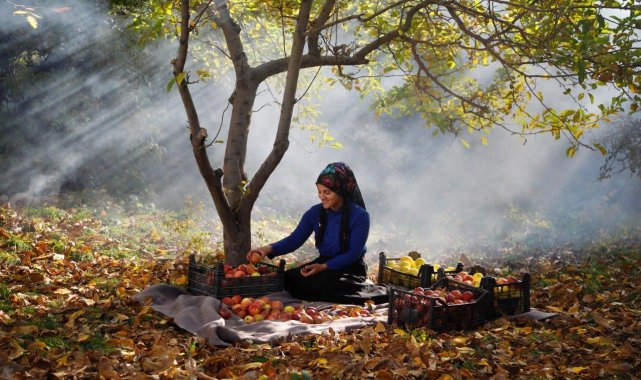 'Kadrajımdan Edremit Fotoğraf Yarışması' sona erdi