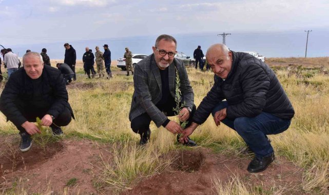 Ahlat'ta çam fidanları toprakla buluştu