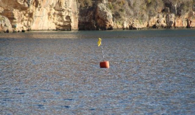 Akdeniz'e Nefes Programı ile denizlerin akciğeri deniz çayırları korunacak