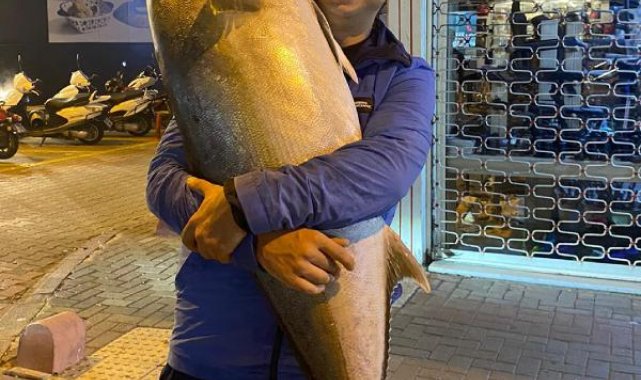 Amatör balıkçı, olta ile 41 kiloluk akya yakaladı