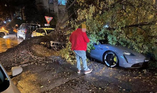 Ankara'da kuvvetli rüzgarda devrilen ağaç, otomobilin üzerine düştü