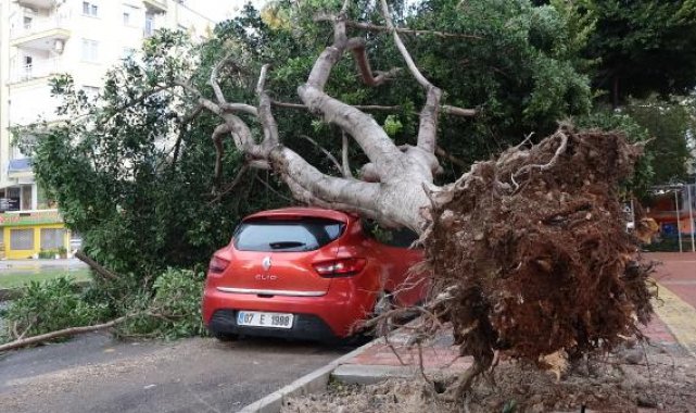 Antalya'da şiddetli yağış ve fırtına; tekneler battı, ağaçlar devrildi