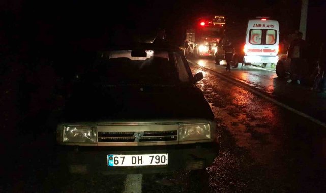 Arıza yapan otomobilinden inen sürücüye başka bir araç çarptı