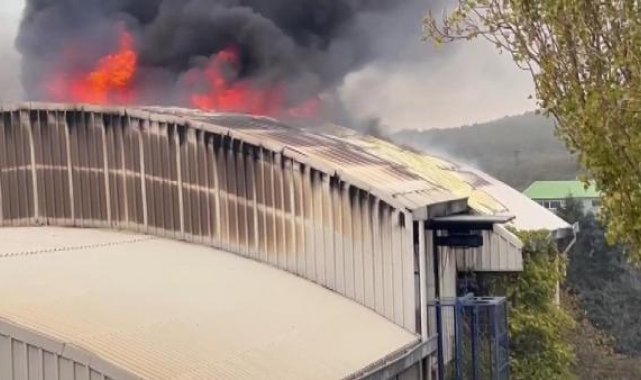 Arnavutköy'de fabrika yangını-1