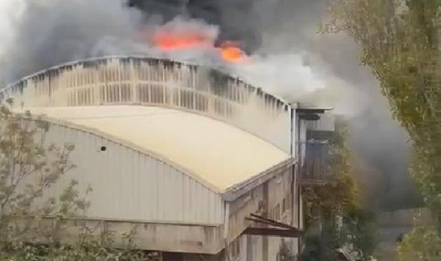 Arnavutköy'de fabrika yangını